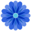 Flowers That Last Forever